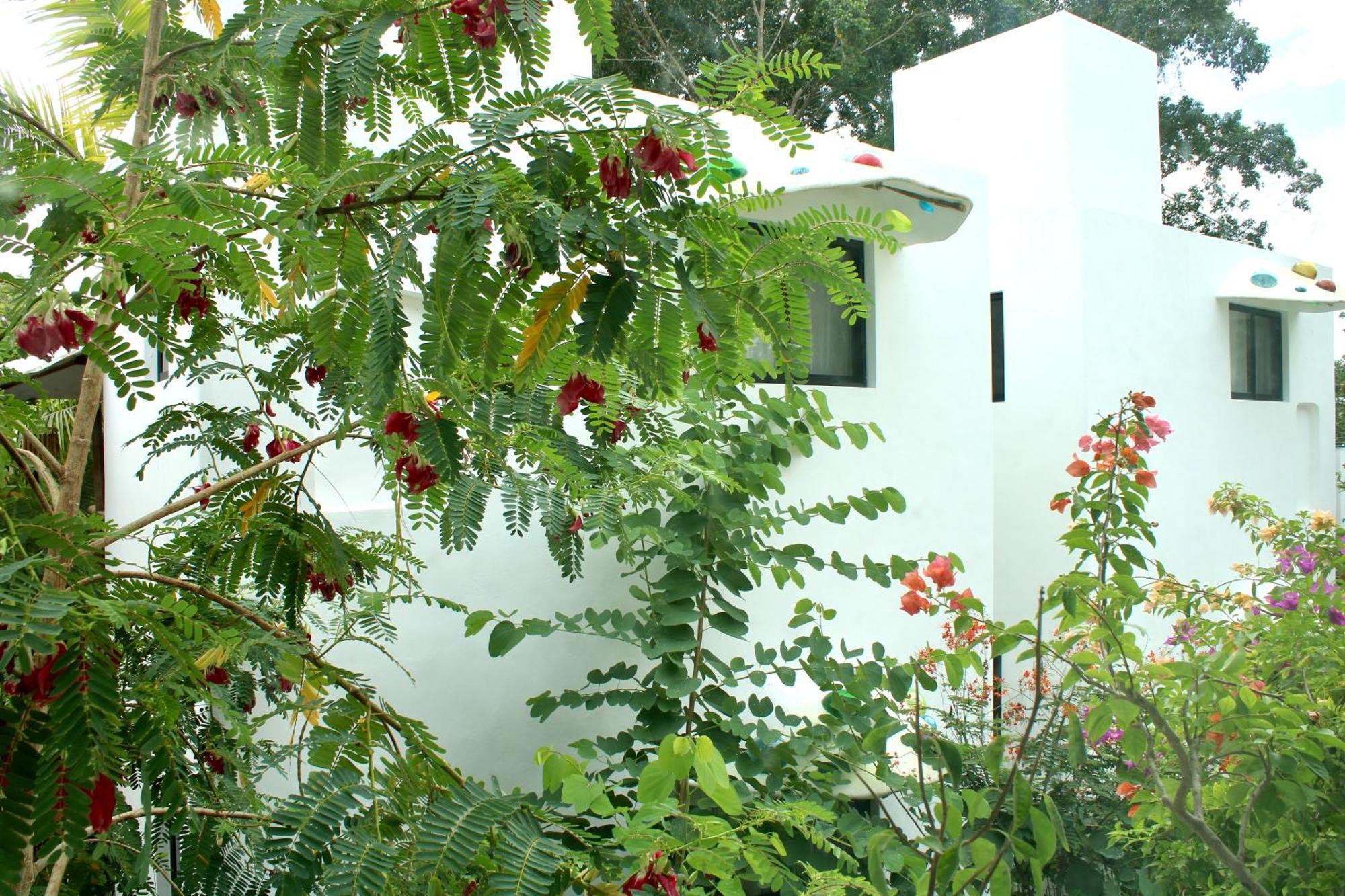 Maison Bacalar Exterior foto